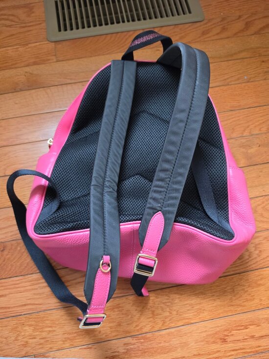 Coach Court Backpack with Ruching Pink C4094 main image 3